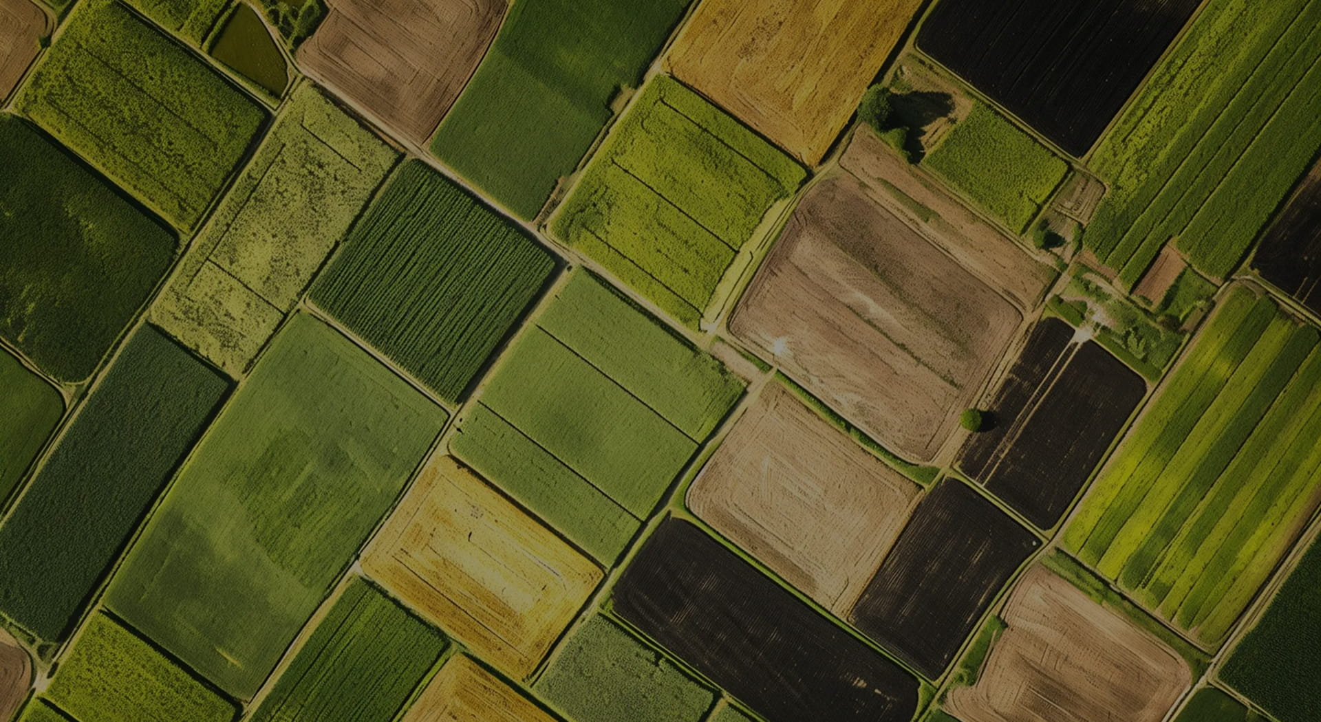 Sustainable AgriTech
